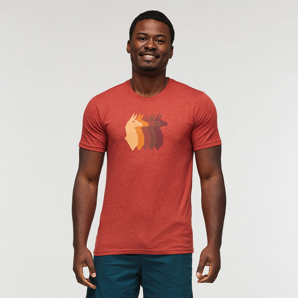 Cotopaxi Llama Sequence T-Shirt - MENS ラマシークエンス ティーシャツ メンズ