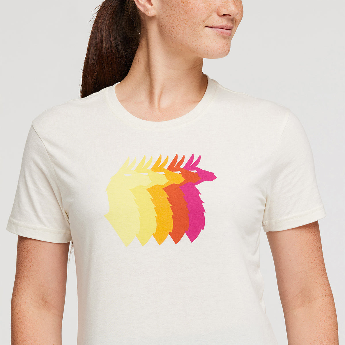 Cotopaxi Llama Sequence T-Shirt - WOMENS ラマシークエンス ティーシャツ レディース