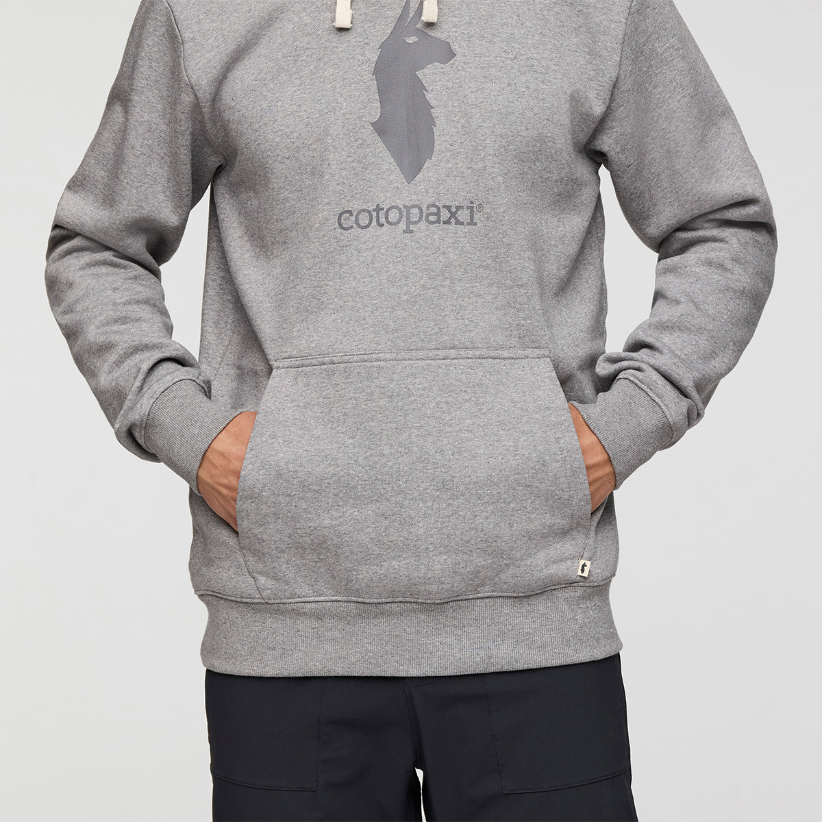 Cotopaxi Llama Pullover Hoodie - MENS コトパクシ ラマ プルオーバー フーディー メンズ