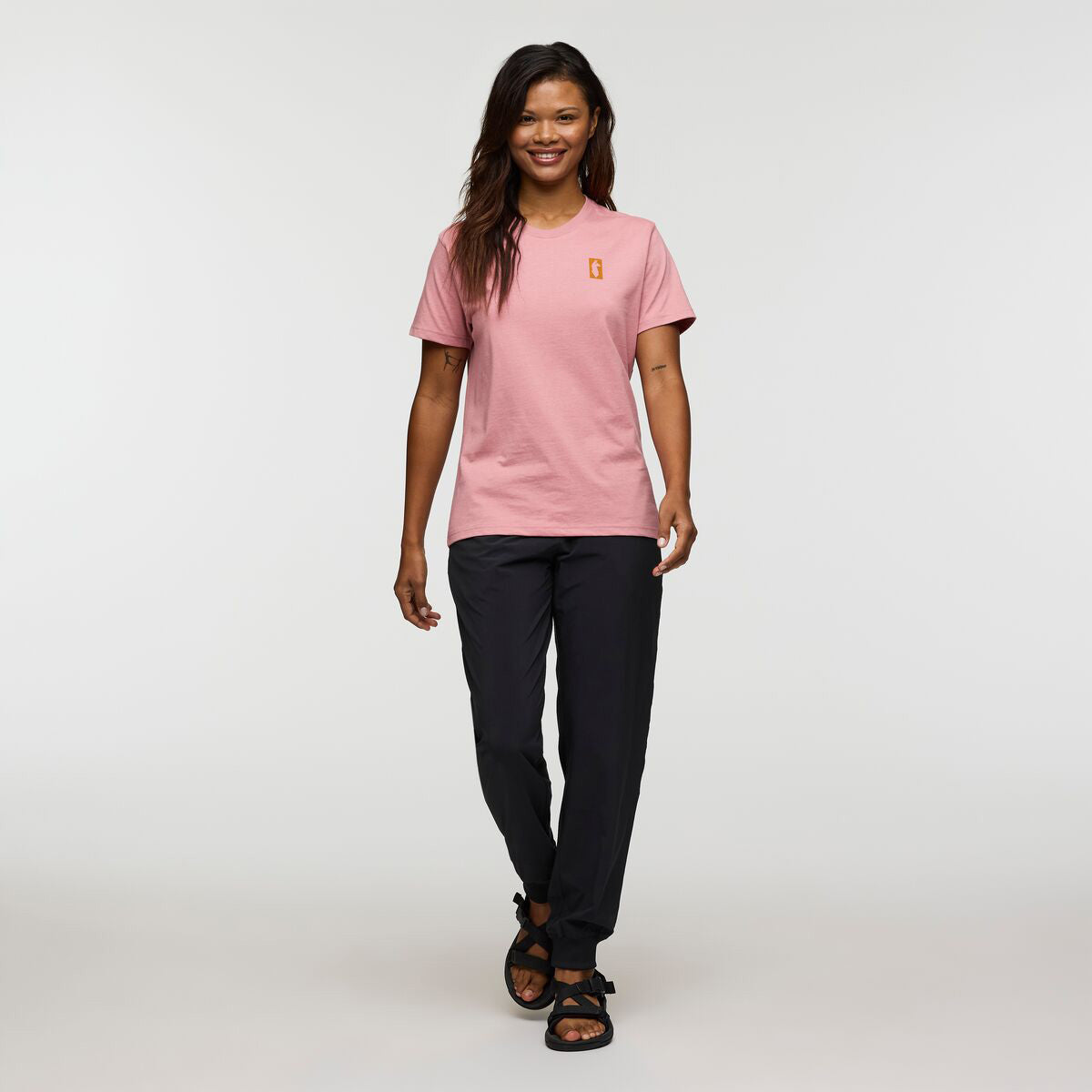 Cotopaxi Gear For Good Stripes T-shirt - WOMENS コトパクシ ギア フォー グッド ストライプTシャツ ウィメンズ