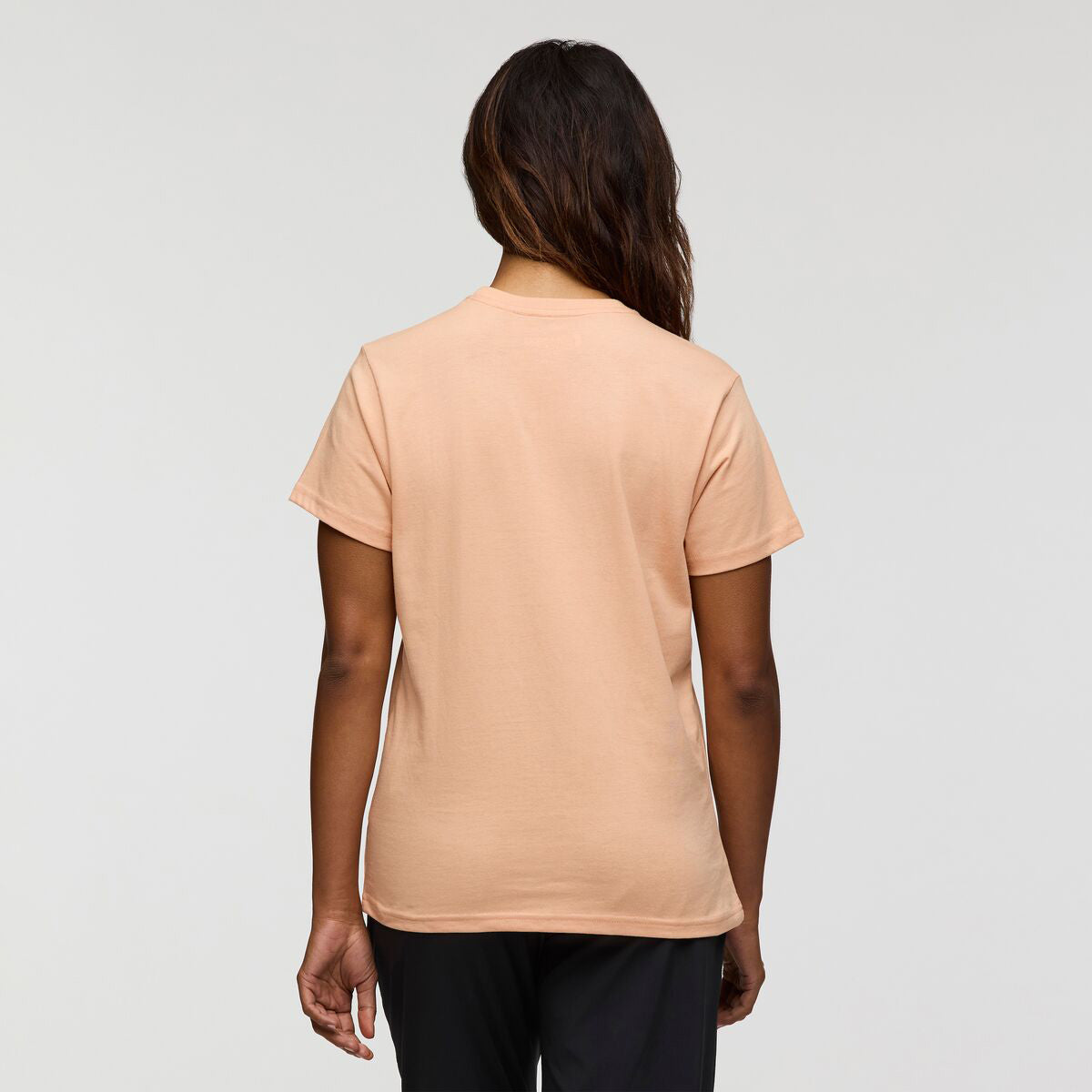 Cotopaxi Llama Block T-Shirt - WOMENS コトパクシ ラマ ブロック Tシャツ ウィメンズ
